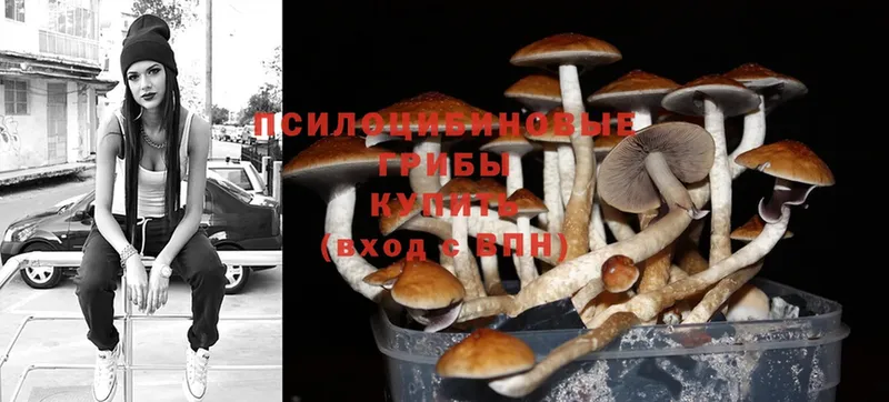 Псилоцибиновые грибы MAGIC MUSHROOMS  даркнет сайт  Электрогорск 